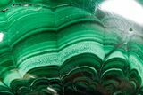 Flowery Polished Malachite Specimen - DR Congo #360802-1